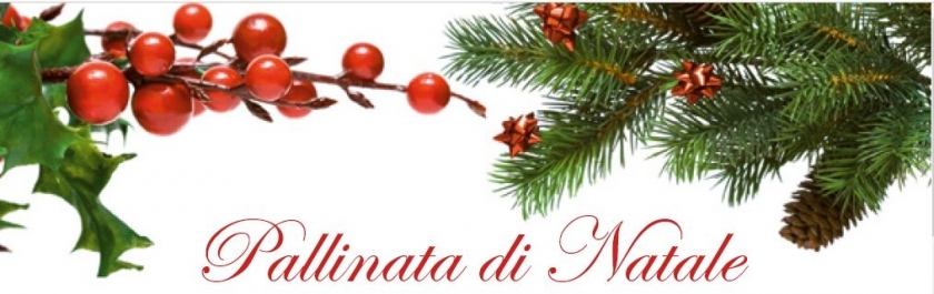 PALLINATA DI NATALE 2019